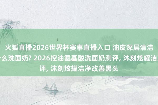 火狐直播2026世界杯赛事直播入口 油皮深层清洁去黑头用什么洗面奶? 2026控油氨基酸洗面奶测评, 沐刻炫耀洁净改善黑头