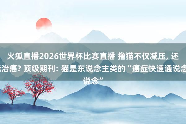 火狐直播2026世界杯比赛直播 撸猫不仅减压, 还能治癌? 顶级期刊: 猫是东说念主类的“癌症快速通说念”