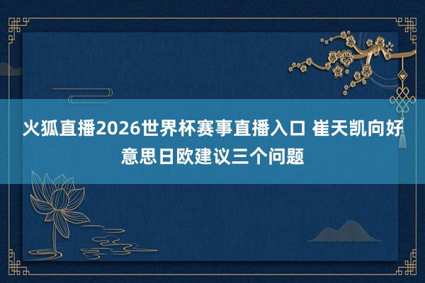 火狐直播2026世界杯赛事直播入口 崔天凯向好意思日欧建议三个问题