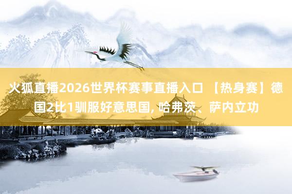 火狐直播2026世界杯赛事直播入口 【热身赛】德国2比1驯服好意思国, 哈弗茨、萨内立功