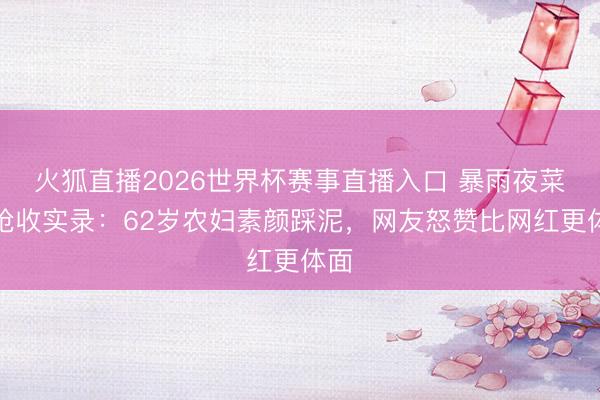 火狐直播2026世界杯赛事直播入口 暴雨夜菜园抢收实录:62岁农妇素颜踩泥,网友怒赞比网红更体面