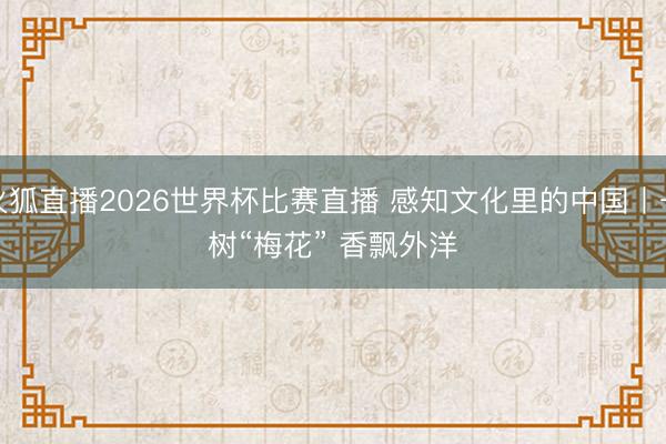 火狐直播2026世界杯比赛直播 感知文化里的中国丨一树“梅花” 香飘外洋