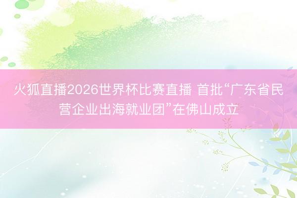 火狐直播2026世界杯比赛直播 首批“广东省民营企业出海就业团”在佛山成立